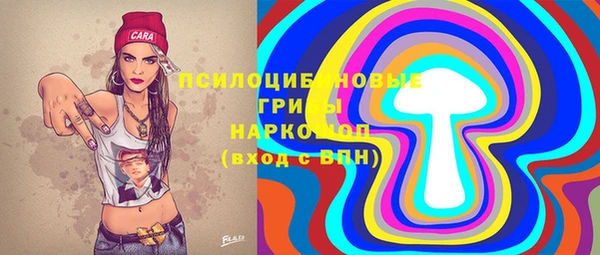 ГАЛЛЮЦИНОГЕННЫЕ ГРИБЫ Алексеевка