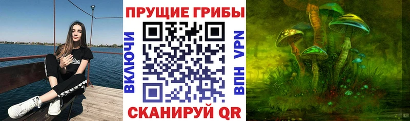 Галлюциногенные грибы ЛСД Анапа